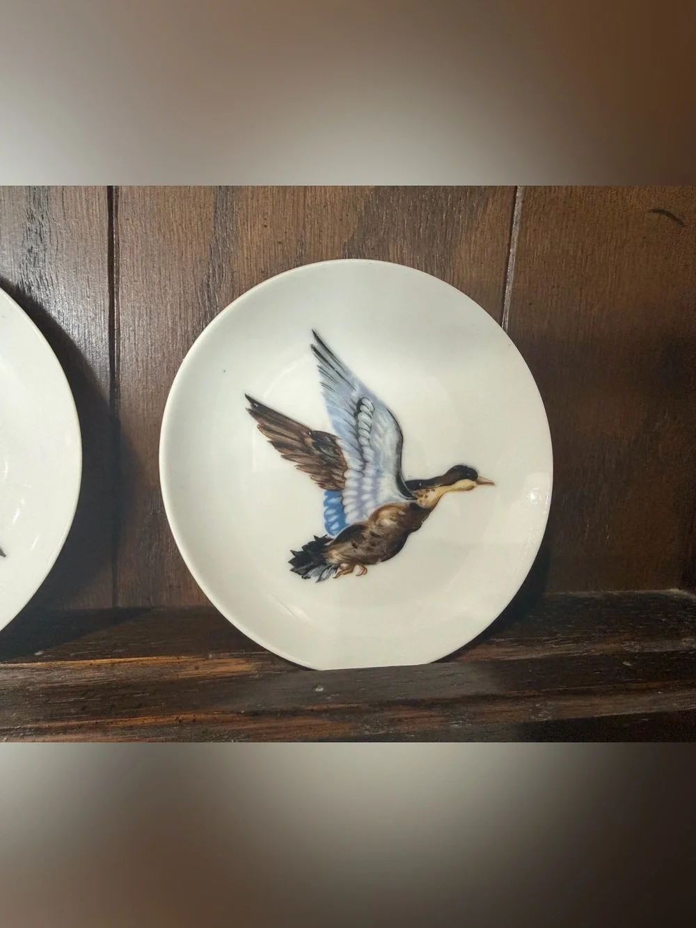 Decorative Flying Duck Ceramic Plate - White with Multicolor Bird Design - 4